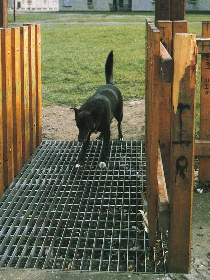 Sensus HundestoppGitter in Wunschgröße für Spielplätze