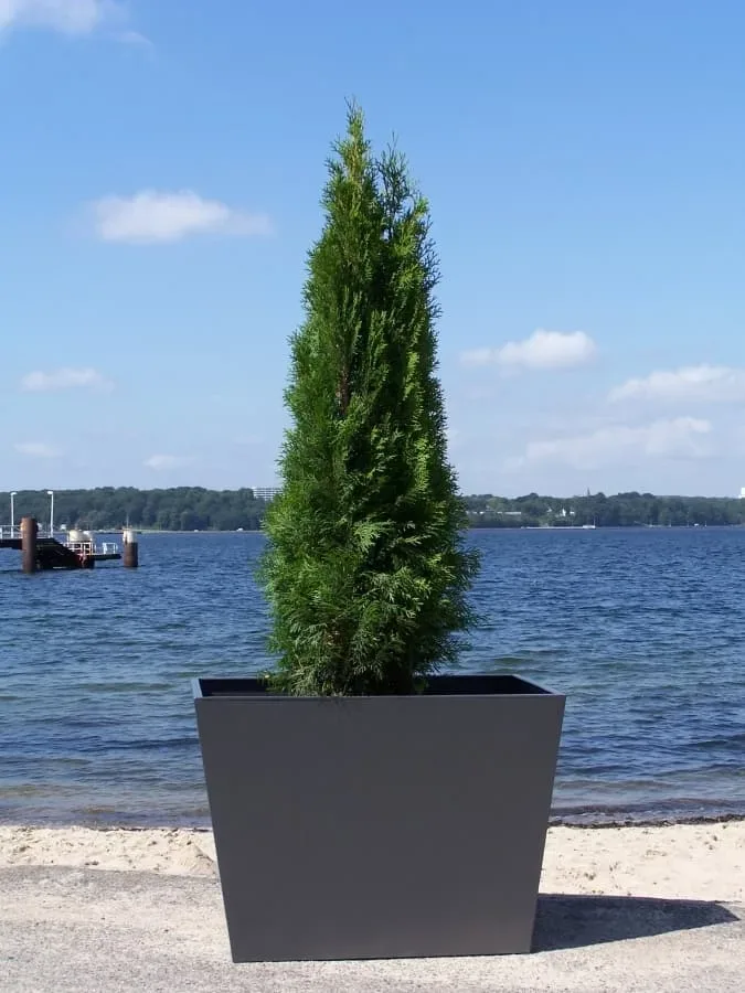 ULTRA PflanzGefäß Grundform Trapez
